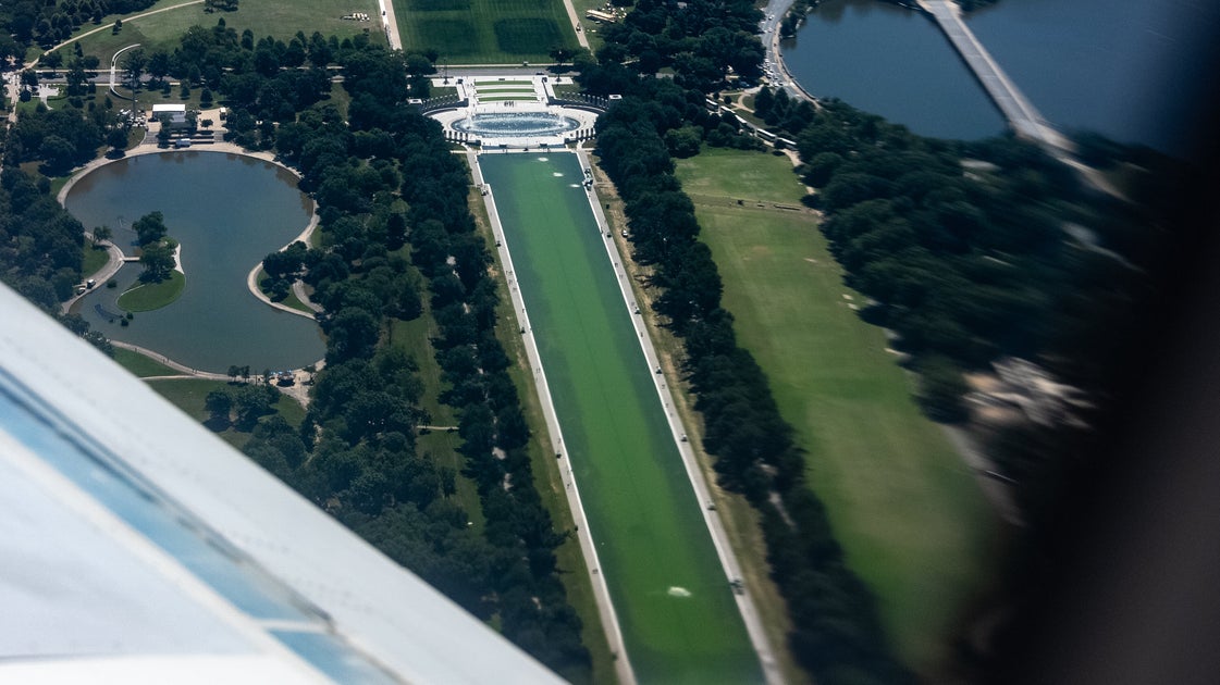 Critics Pounce On Trump's Algae-Filled Reflecting Pool As Officials Race To Clean Up