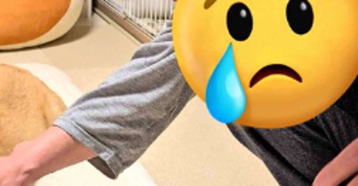 妻の「おいで」に穏やかな表情⇒では夫だと...?愛犬の豹変ぶりに「愛の差がつらい」と同情の声