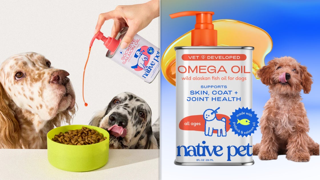 Pet Hair Everywhere? This $14 Secret Weapon Halts 'Incessant Shedding' For ...