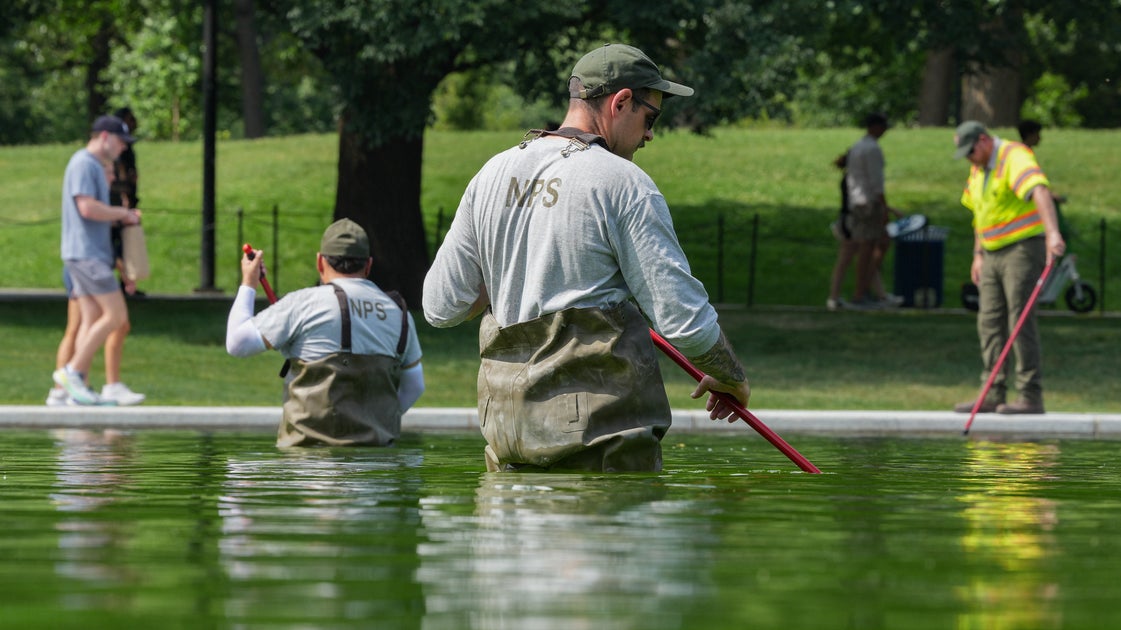 'Does That Guy Realize We Can See': MS NOW Host Rips Fox News For Reflecting Pool Report