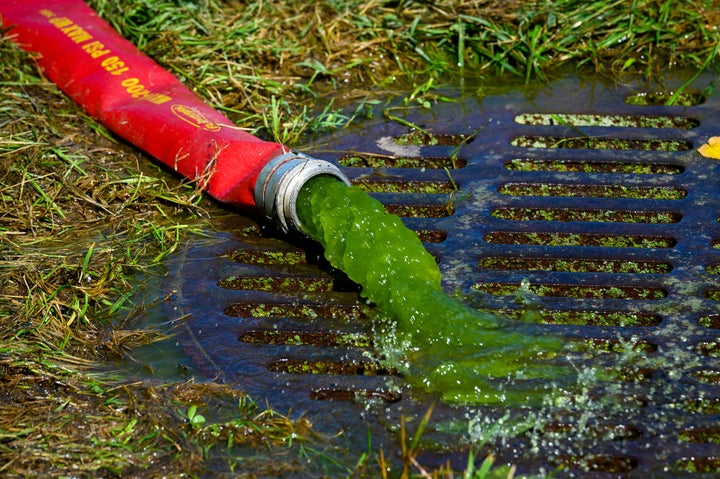 Green water is pumped out of the Reflecting Pool on June 17, 2026. In a more than $14 million attempt, the president had tried paint the historical landmark blue.
