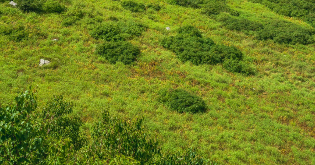 長野県で撮影された“スイスのような絶景”に9.6万「いいね」⇨「美しすぎるって…」「どの季節もすごい絶景」