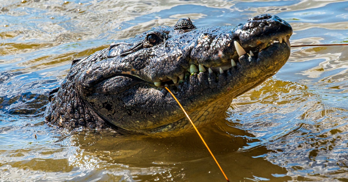 https://img.huffingtonpost.com/asset/6a3436b8190000f09d276627.jpeg?cache=99wo5dC7p0&ops=1200_630