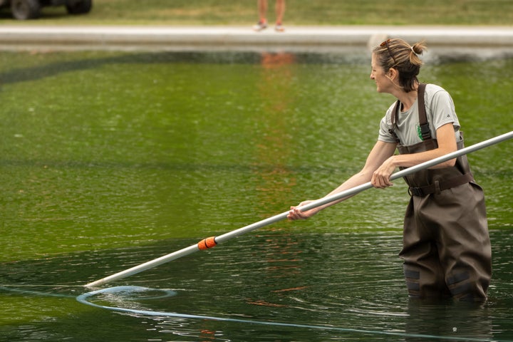 A National Park Service employee uses a vacuum to clean the Lincoln Memorial Reflecting Pool, Friday, June 19, 2026, in Washington. (AP Photo/Mark Schiefelbein)