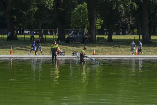 National Park Service employees remove algae from the bottom of the newly painted Lincoln Memorial Reflecting Pool on the National Mall in Washington, D.C., on June 16, 2026.