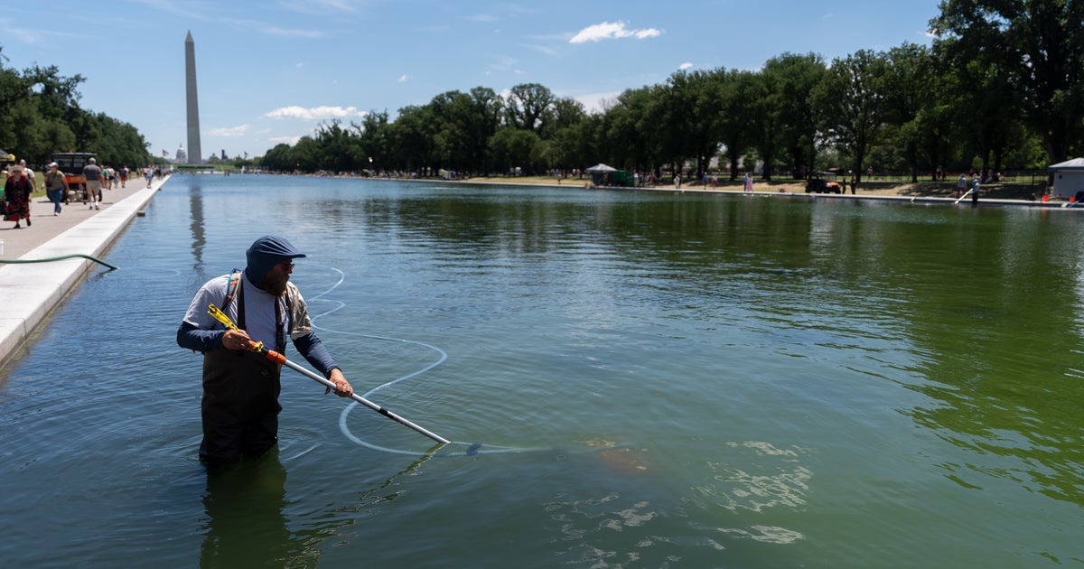 Trump Tries To Blame Reflecting Pool Woes On Vandalism, Says It Will Likely Be Drained Again For Repairs