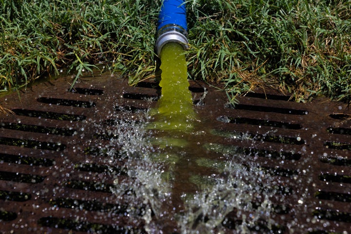 Algae-ridden water is drained from the bottom of the Lincoln Memorial Reflecting Pool on June 20, 2026 in Washington, DC. (Photo by Anna Rose Layden/Getty Images)