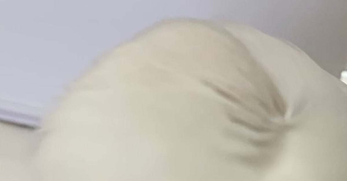 肉まんに見える真っ白いフワフワの正体⇨「脳が理解しない」「これは食べ物」と驚きの声
