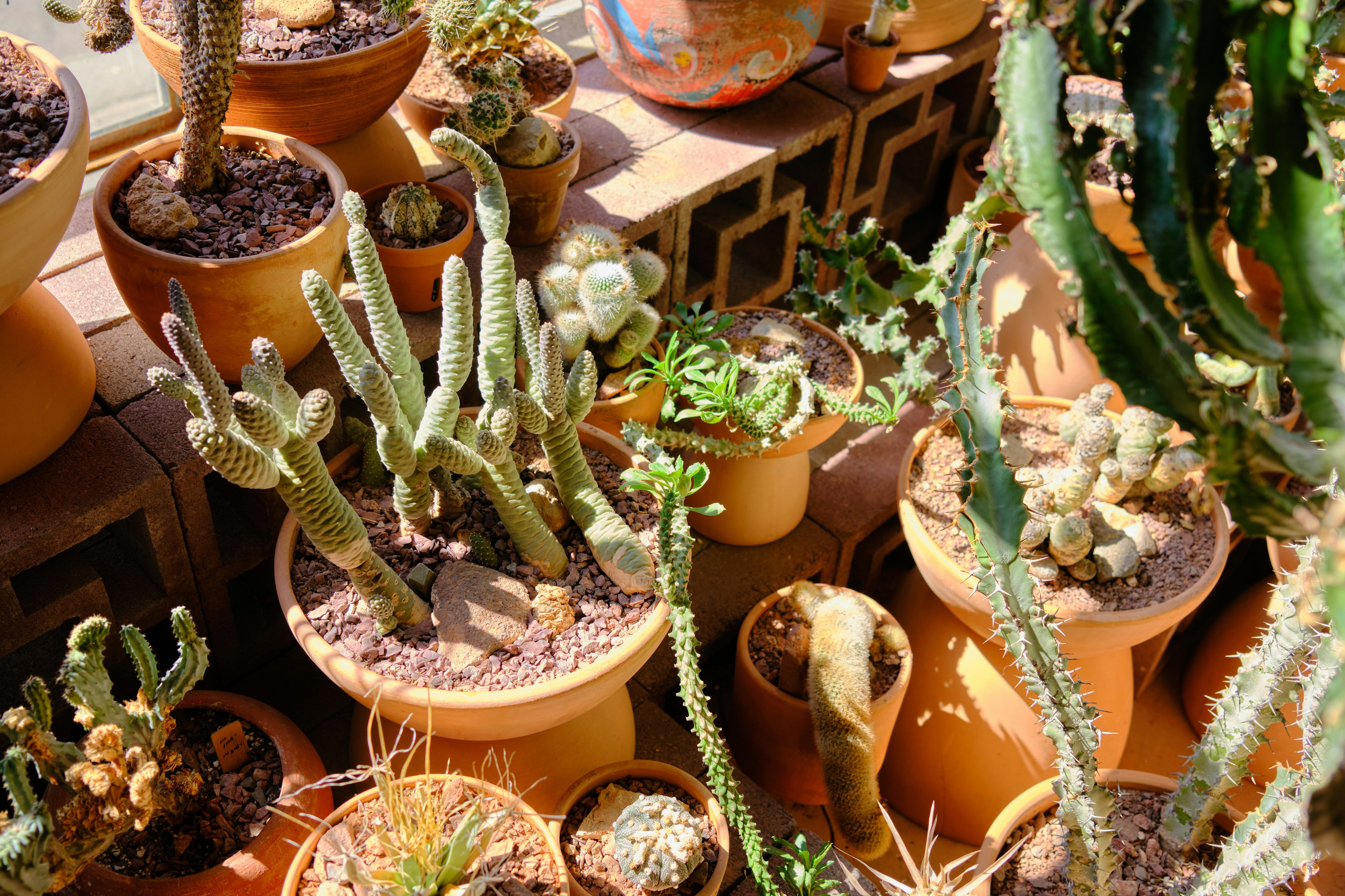The Two Plant Pots To Pay Extra Attention To This Week