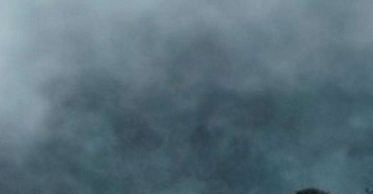 霧の中で郡上八幡城を撮ったらこうなる⇨まるで水墨画のような幻想的な姿に「神域か？」
