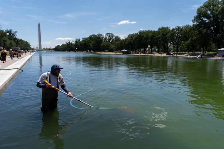 A National Park Service employee uses a vacuum to clean the Lincoln Memorial Reflecting Pool on June 20.