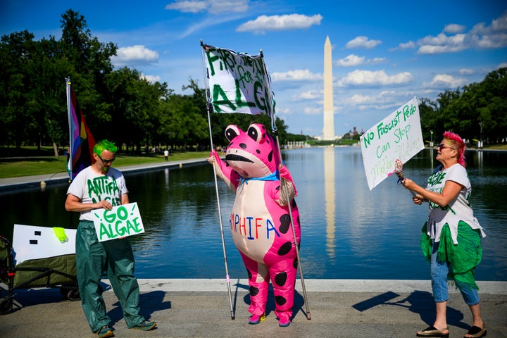 Craig Paulette, Nadine Seiler and Karen Irwin hold protest signs and chant at the Reflecting Pool on June 21, 2026, in Washington, D.C. Among the slogans chanted were "Let's grow algae, let's grow!"