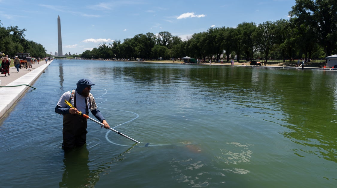 Trump Says He'll Sue ABC Over Its Reporting On Reflecting Pool Renovations