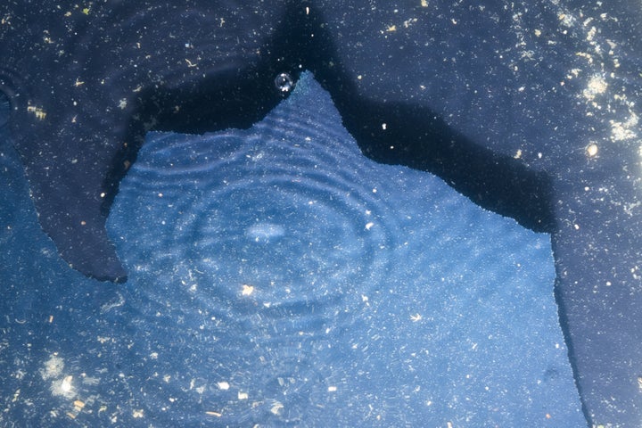Chipped paint and algae in the Lincoln Memorial Reflecting Pool after it was painted blue, captured on June 22, 2026. 