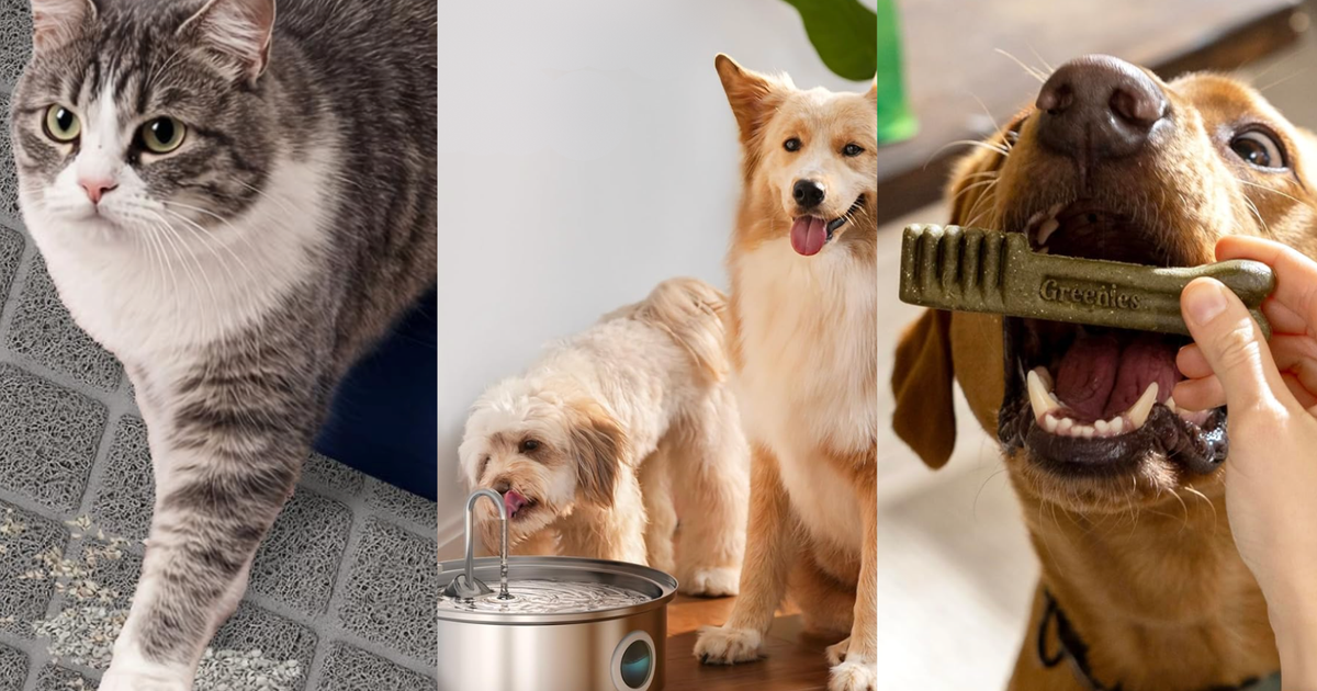 These Pet Products Are Flying Off The Shelves On Prime Day — And Your Fur Baby Is Missing Out