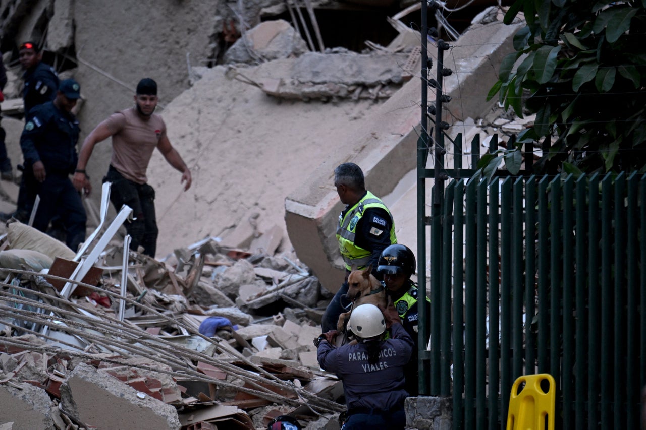 A dog was rescued from a collapsed building after the earthquake in Caracas on June 24, 2026. 