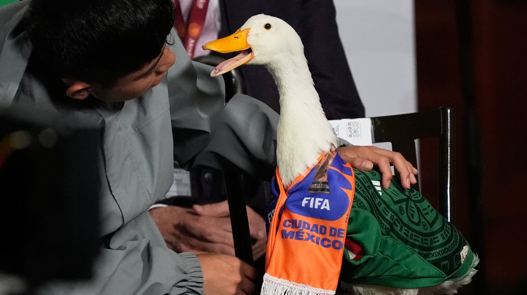 Viral Sensation Merlín The Duck Takes A Trip To The World Cup, But FIFA Rules Keep Him Out