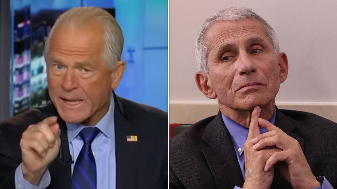 'You Killed People': Trump's Peter Navarro Unloads On Fauci In Explosive Rant