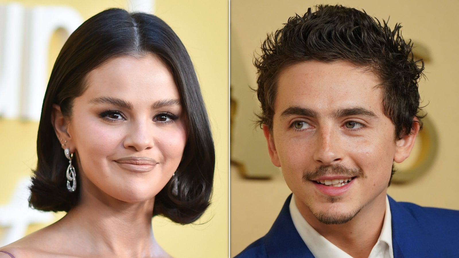 Timothée Chalamet And Selena Gomez Will Co-Star In An Alien Film