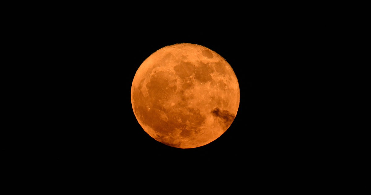月と紫陽花がコラボするとこうなる。今夜はストロベリームーン