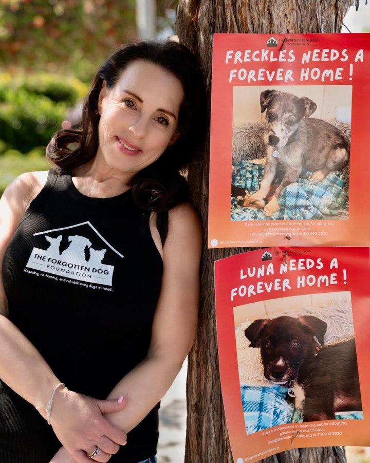 "These sibling pups were being given away outside a Walmart in Victorville," the author writes. “A volunteer grabbed them and we looked for good homes for them."