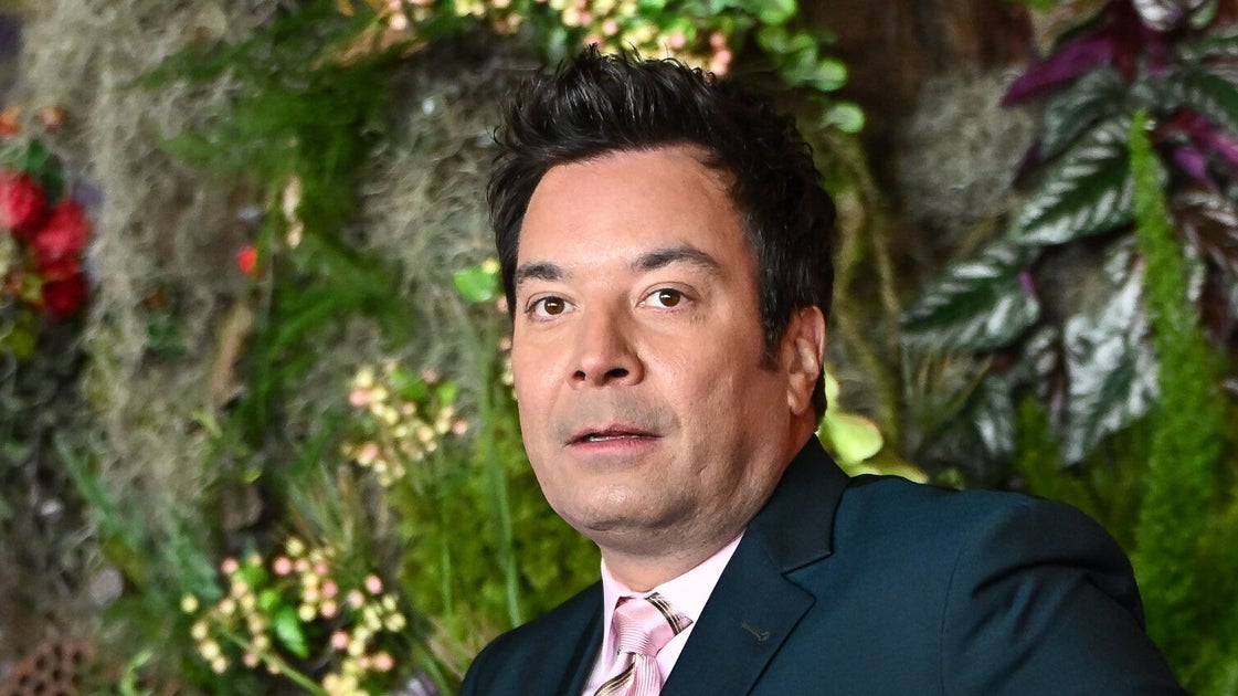 Trump-Gegner kritisiert Jimmy Fallons freundliches Interview mit einem ...