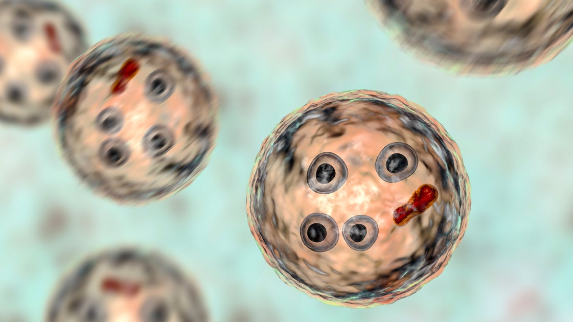 Photo: huffpost.com Surveillance and Treatment Efficacy
