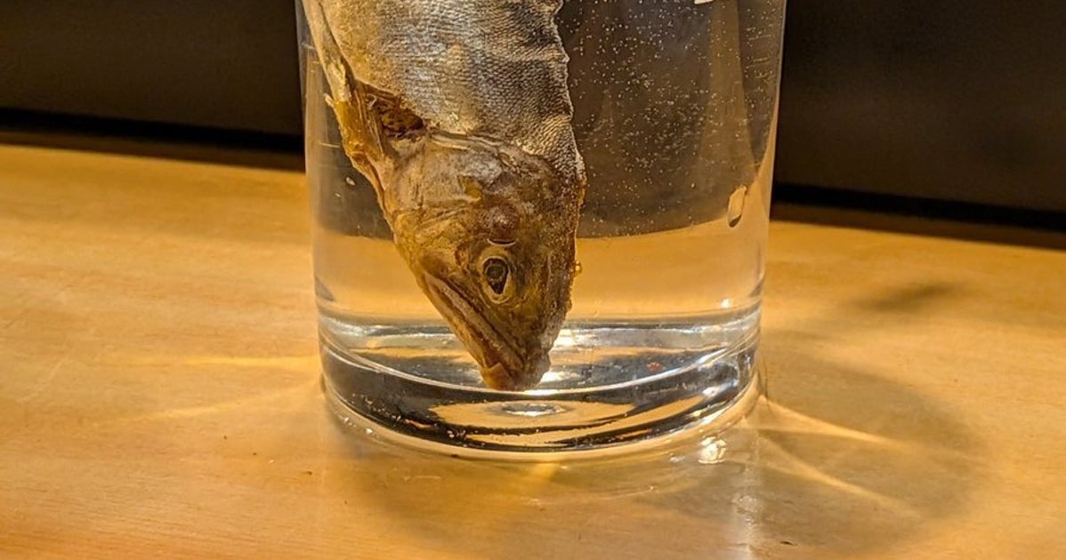 鮎を燗酒に浸して味わう、高知“四万十だけの一杯”に反響「例えようがない味」「スマホからいい香りがする」