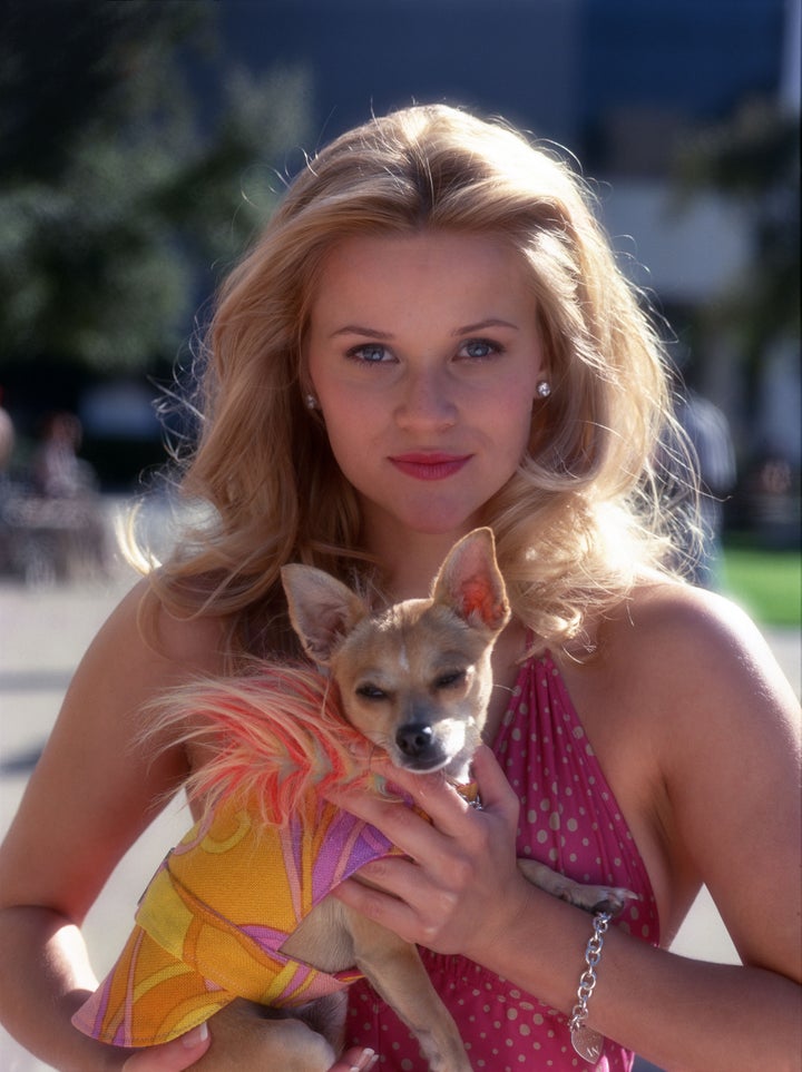 Elle Woods and her beloved dog Bruiser in Legally Blonde