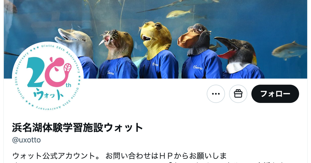 まるで仲良し3人組？カエルアンコウが肩を組んでいる姿に「組体操だ！」「アイドルのジャケ写」と反響