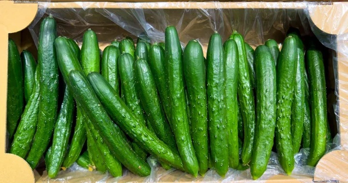 【きゅうりを切って和えるだけ】夏にぴったり「きゅうりのおかか梅マヨサラダ」が旨すぎる