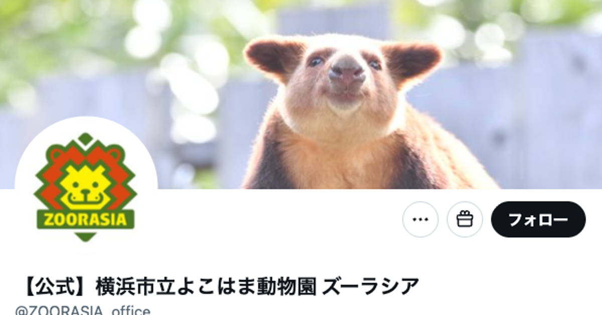 人間みたいなオオアリクイに大爆笑⇨「風呂入ったときの俺」「お宝映像」と反響続々