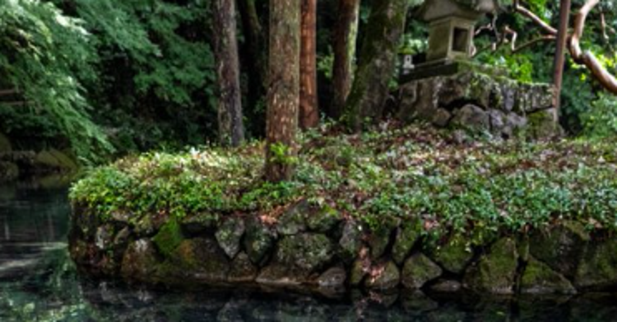 「名水百選」栃木・佐野の湧水が美しすぎる！泳ぐ鯉が「宙に浮いているよう」と大反響
