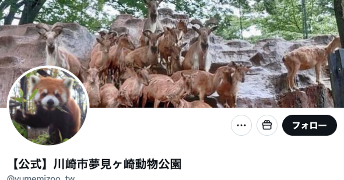 カラスに追われたトビ、“虫の息”と思いきや…⇨驚きの習性に「知らなかった」「無事で良かった」の声