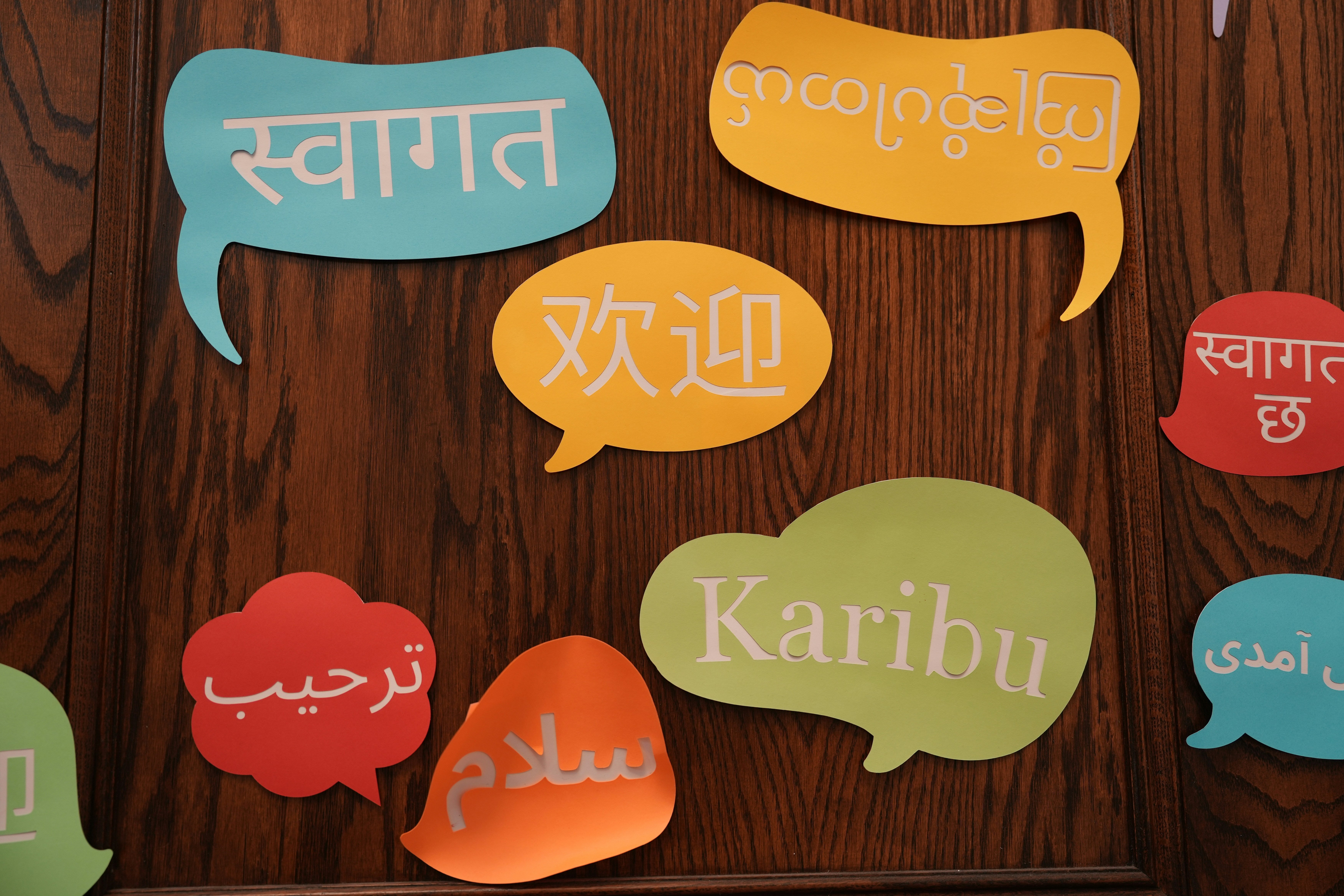 Learning New Languages May Slow Brain Ageing By Up To 13 Years