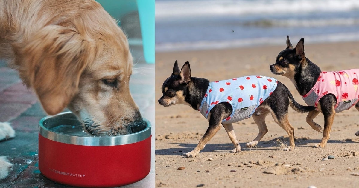 14 Products To Cool Your Pet When It's Dangerously Hot Outside