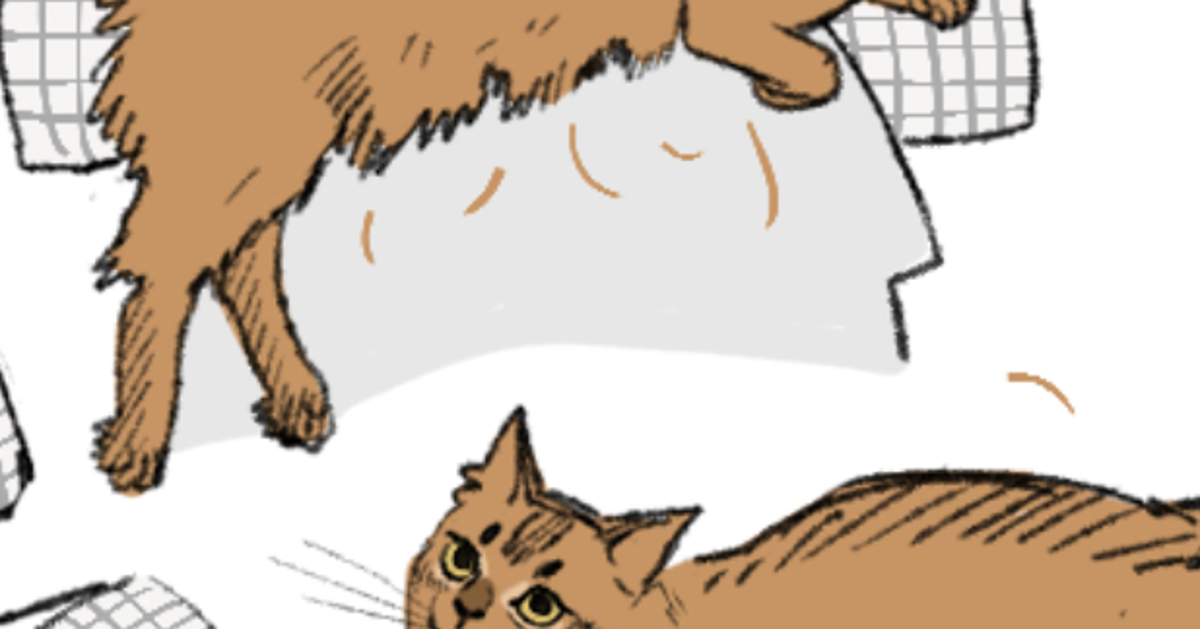 「猫、人間をなんだと思っているのか...」漫画家の描く日常に「あるある過ぎる」「ぜんぶ愛情表現」と反響