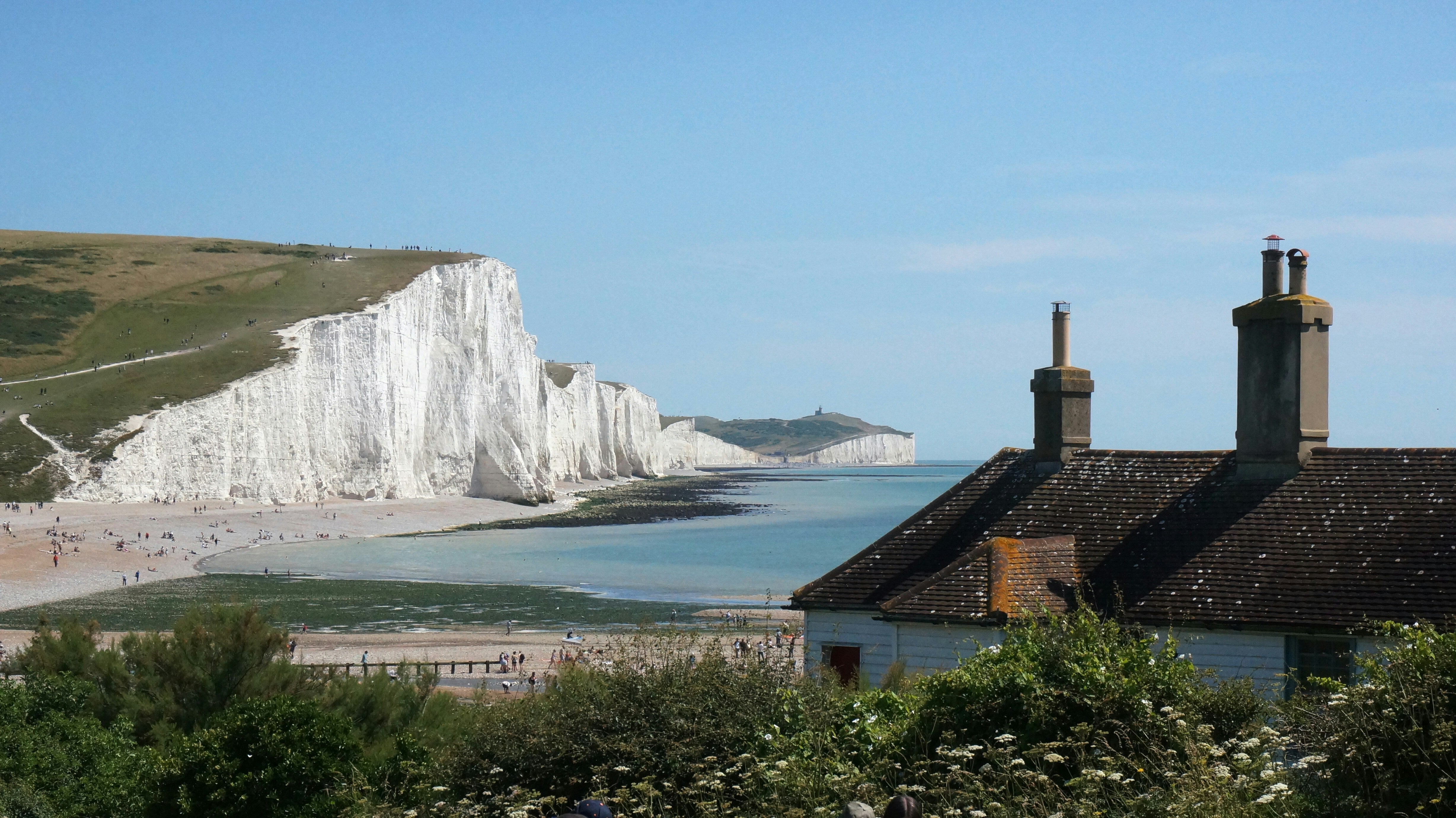 What Is A Marine Heatwave, The Issue Putting UK Sea Life At Risk?