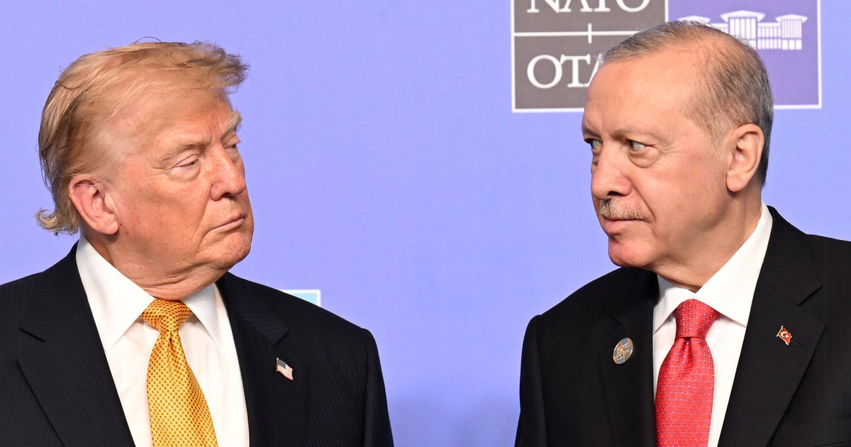 Erdogan's Eyebrow-Raising Gift To NATO Leaders Turns Into Security Snafu
