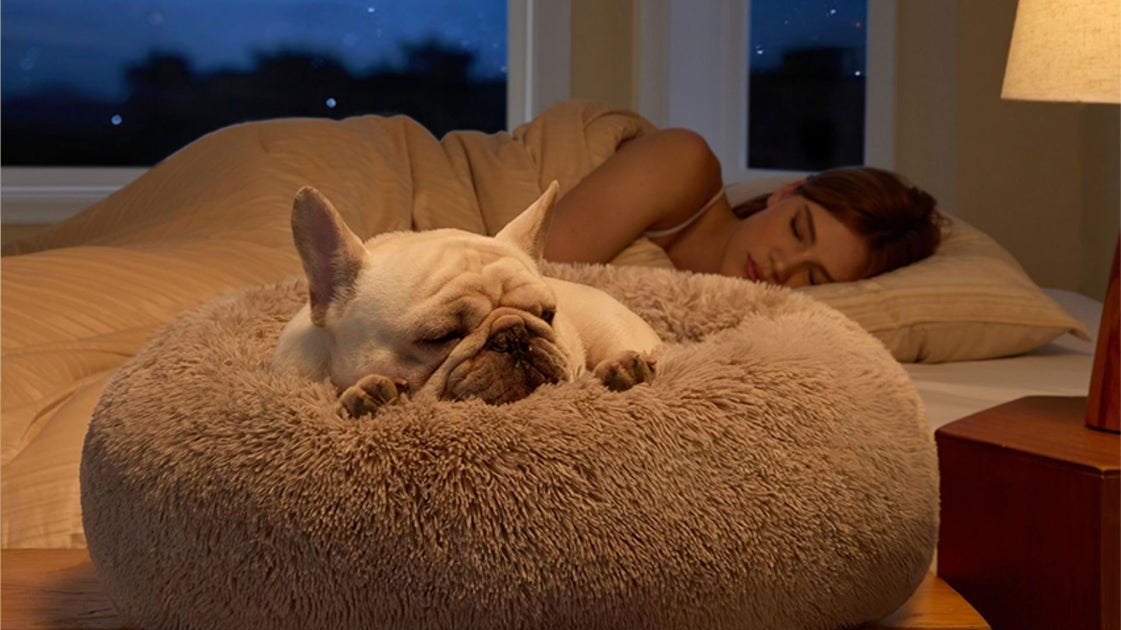 If Your Pets Are Nervous Or Even Arthritic, This Donut Bed Could Be A Game-Changer
