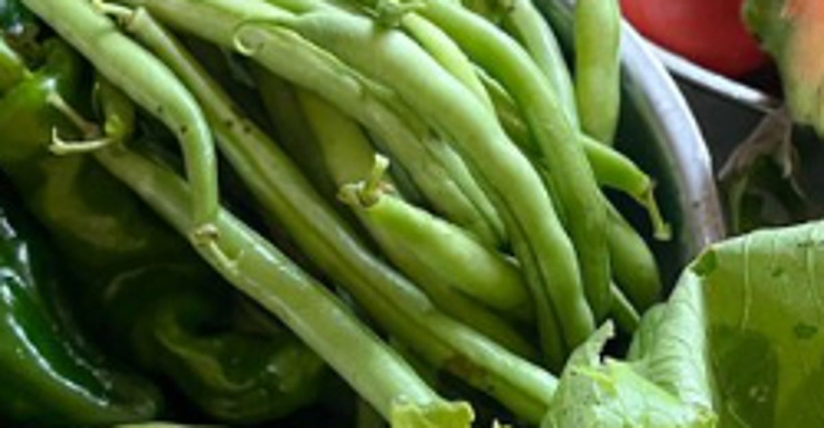 夏野菜に“擬態”したインコ⇨ピーマンやトマトに溶け込む様子に「緑の妖精さん」「どこだ?」と反響