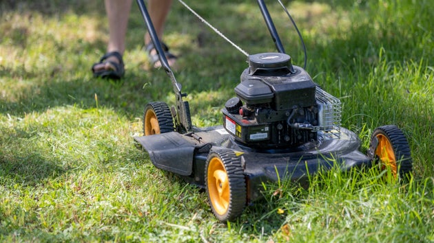 Don’t cut your grass too short after a dry summer. 