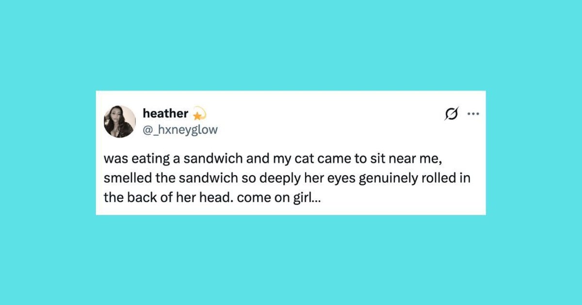 https://img.huffingtonpost.com/asset/6a516aae1a0000579b580cb8.jpg?cache=tMoTIvrjoC&ops=1200_630