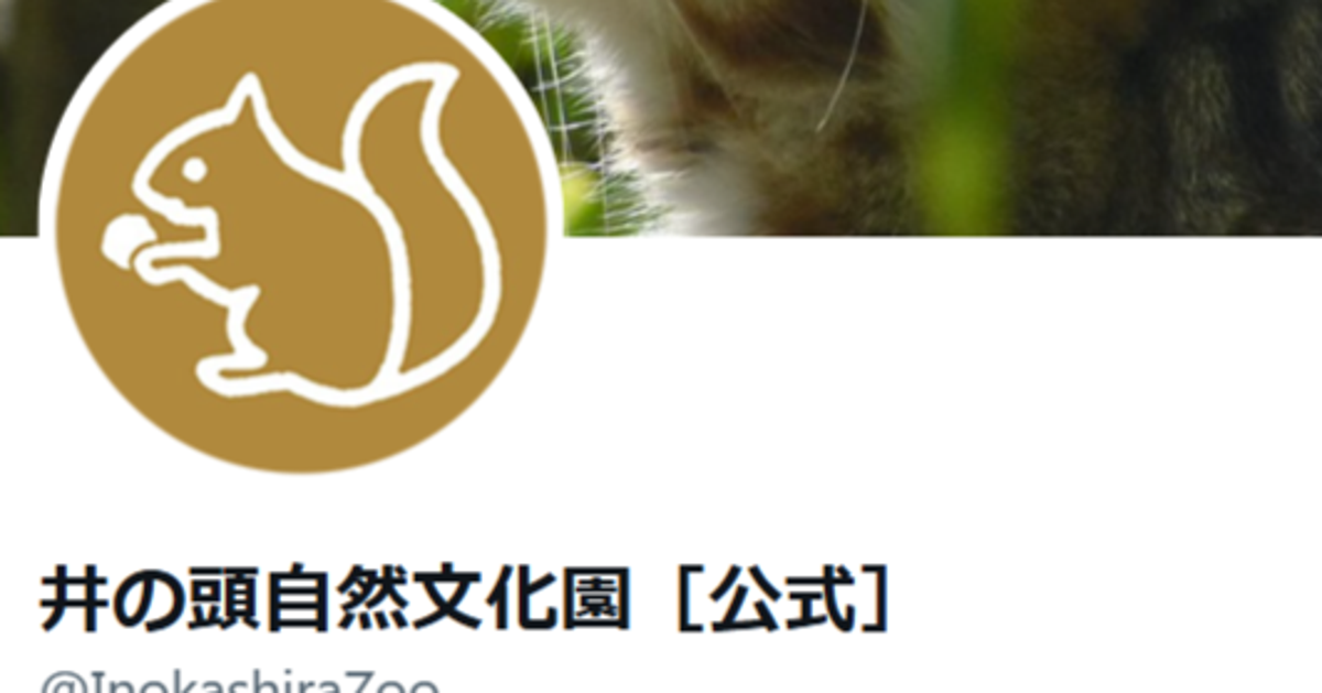 「これは美味しそう！」井の頭自然文化園の“コールダックフラッペ”の可愛らしい姿に反響。「絶対試してみたい」