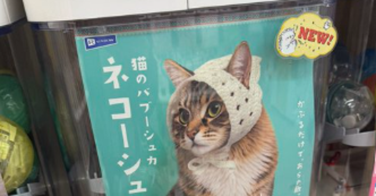 サイベリアンがネコーシュカをつけたら...⇨「『ナウシカ』のアシタカみたい」「怒ってるのも可愛い」の声