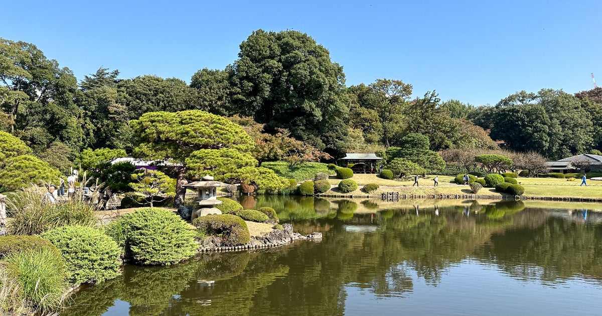 東京・新宿御苑で咲いた“パイナップル”みたいな花が可愛すぎる。「初めて見た!」「夏!って感じの花」と反響