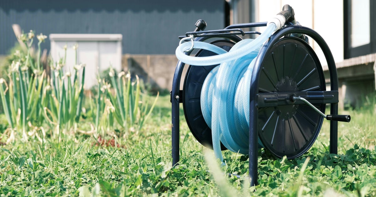 Thames Water Just Announced A Hosepipe Ban For Over 10 Million Brits