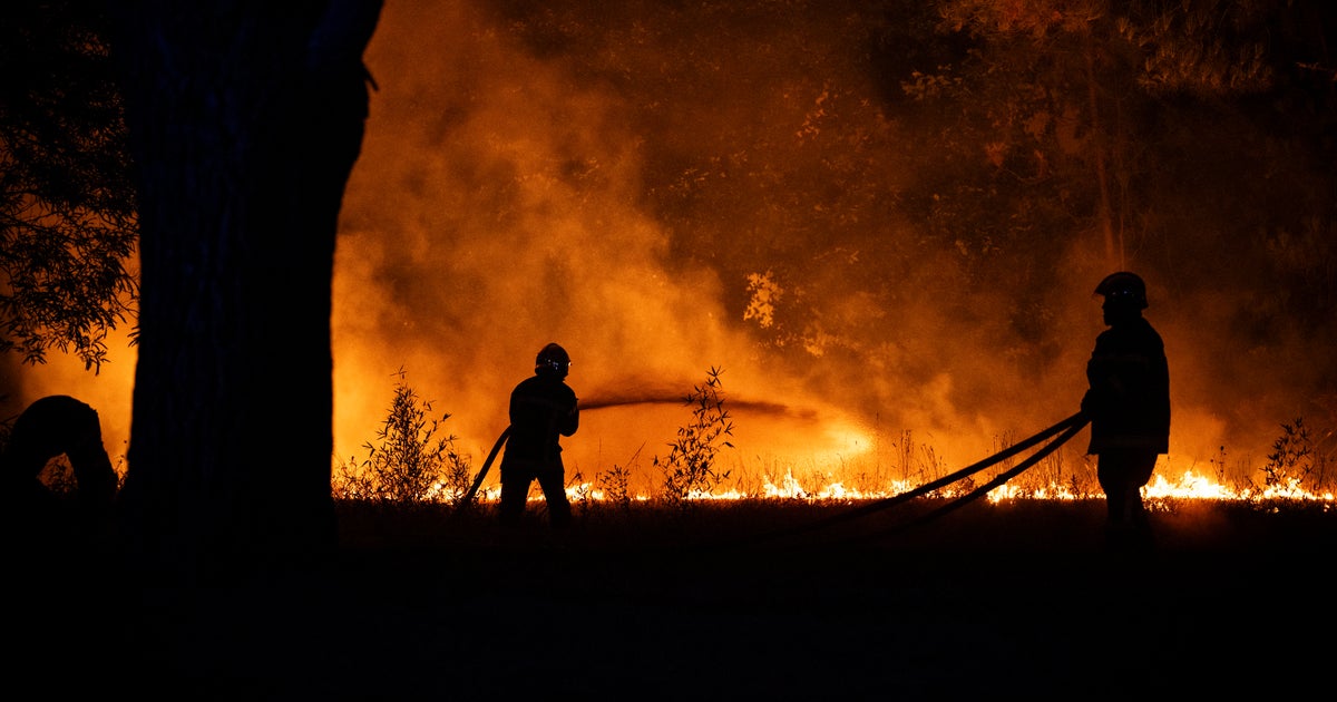 France Orders Total Evacuation Of Cap Ferret Peninsula As Wildfires Rage France Orders Total Evacuation Of Cap Ferret Peninsula As Wildfires Rage