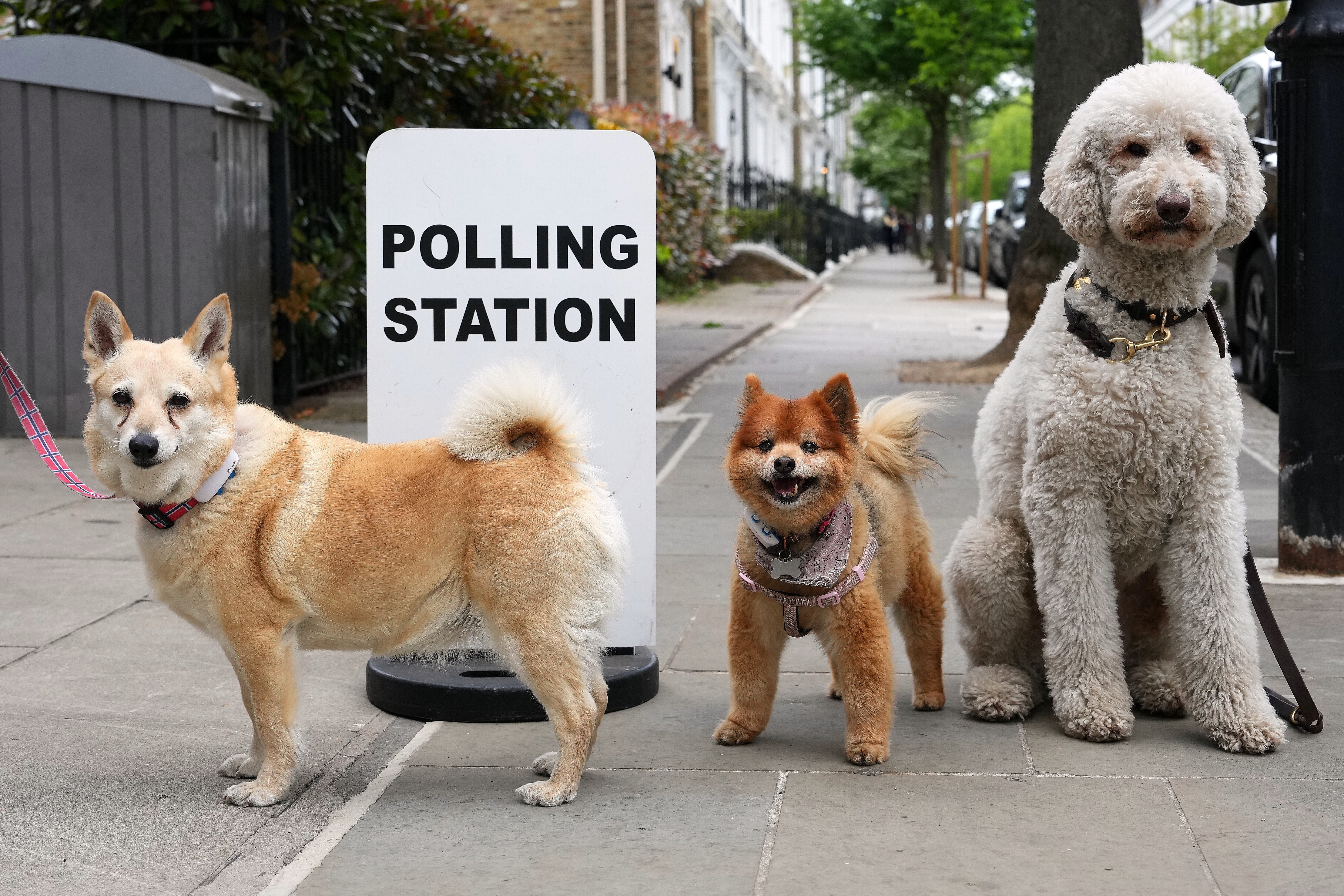 Sorry Brenda From Bristol, But Here's Why We Could Be Heading For An Early Election