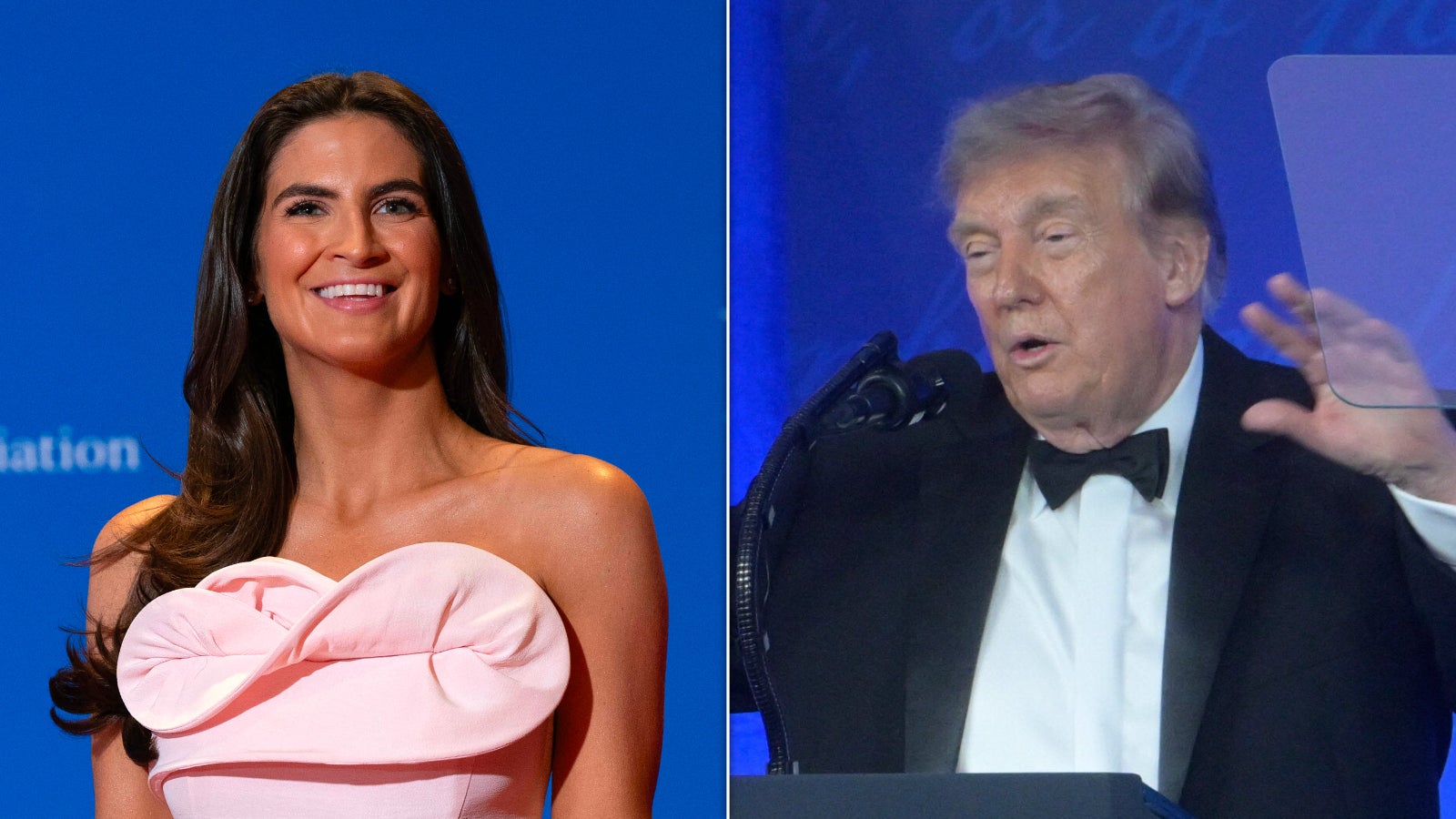 Trump Berates A Female Reporter Once Again At White House Correspondents' Dinner